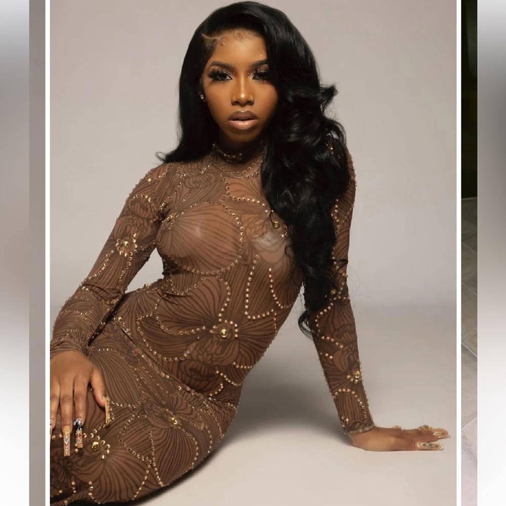 Brown Embellished Mesh Evening/Gala/Prom Gown